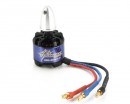 Электродвигатель Dynam TomCat BM2812M 900kv 160W (CCW)