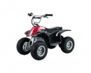 Квадроцикл Razor Dirt Quad (Черный)