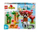 Конструктор Lego Duplo Дикі тварини Азії 117 деталей (10974)