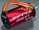 Электродвигатель Thunder Tiger Ripper BL Motor IBL 40/20 для 1/8 багги и трагги