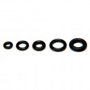 Прокладки карбюратора Thunder Tiger для RL-53H