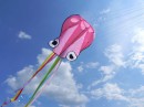 Воздушный змей WinWind Осьминог 70 см (розовый)