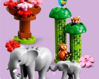 Конструктор Lego Duplo Дикі тварини Азії 117 деталей (10974)