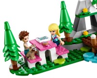 Конструктор Lego Friends Лісовий будинок на колесах і яхта, 487 деталей (41681)