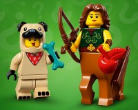 Конструктор Lego Minifigures Выпуск 21, 8 деталей (71029)