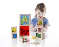 Набор блоков Guidecraft Natural Play Сокровища в ящиках, разноцветный (G3085)