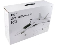 Літак Hubsan F22 Pro FPV RTF 310 мм 2,4 5,8 ГГц з GPS і автопілотом (F22 Pro)
