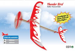 Літак Thunder Bird з гумомотор (AA02001)