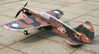 Самолет Tech-One P40 3D электро бесколлекторный 1000мм ARF