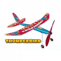 Резіномоторний літак Paul Gunter Thunderbird