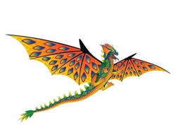 Воздушный змей WindnSun Зеленый дракон 3D 1930 х 1600 мм