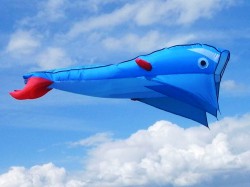 Воздушный змей WinWind Дельфин 200 (объемный)