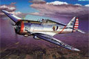 1:48 P-36A HAWK (Tamiya, 2181)
