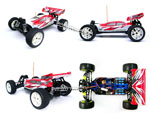 BSD Racing EP Brushless Buggy 4WD 1/10 2,4Ghz RTR Version (BS701G-R)