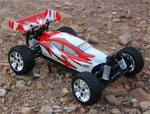 BSD Racing EP Brushed Buggy 4WD 1/10 2,4Ghz RTR Version (BS701G Red)
