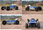 BSD Racing EP Brushless Buggy 4WD 1/8  2,4Ghz RTR Version (BS803T Blue)