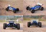 BSD Racing EP Brushless Buggy 4WD 1/8 2,4 ГГц RTR версія (BS803T синій)