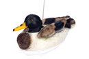 Катер-утка Retrieval Decoy 2.4 RTR (ProBoat, PRB3650)