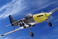Радіокеровані моделі літаків ДВЗ WARBIRD